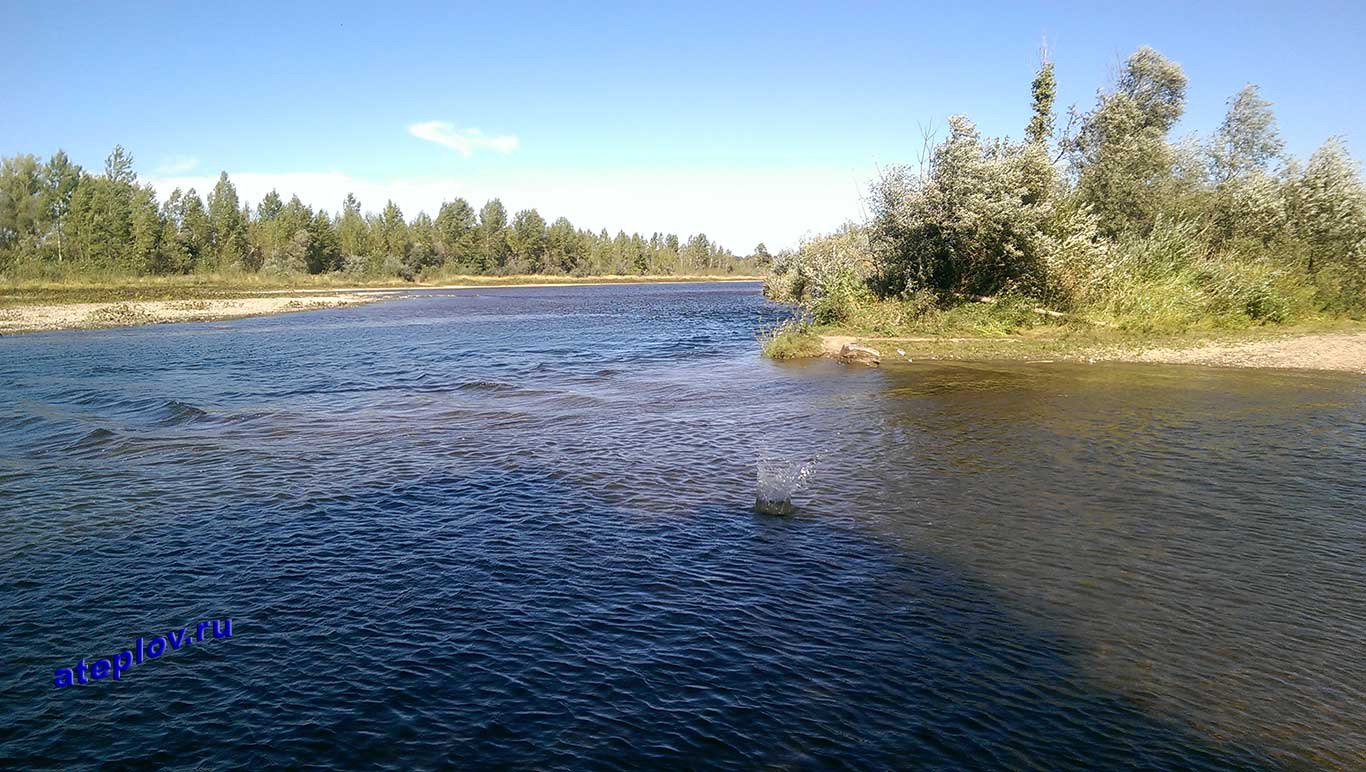 Место река Аскын впадает в Инзер вблизи деревни Абзаново 61