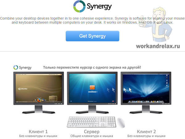 Сайт Synergy